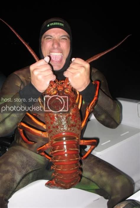 lobster porn